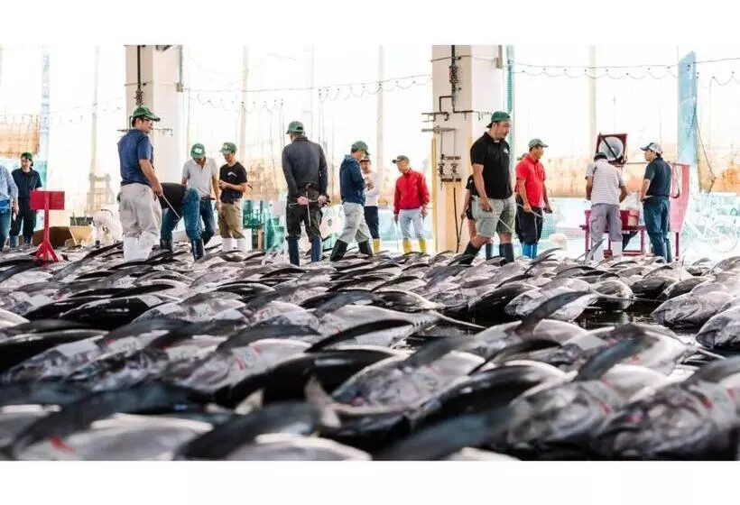 ホテル Pulse Inn Katsuura   Vacation Stay 44377v