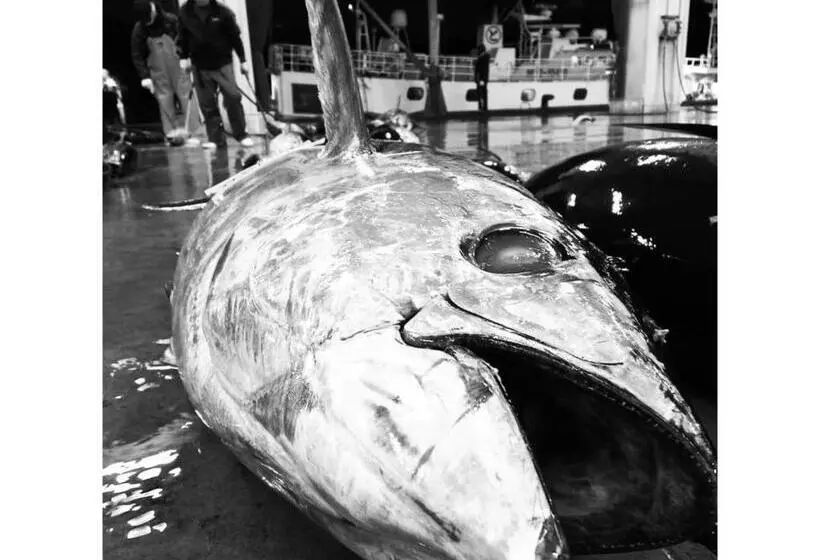 ホテル Pulse Inn Katsuura   Vacation Stay 44377v