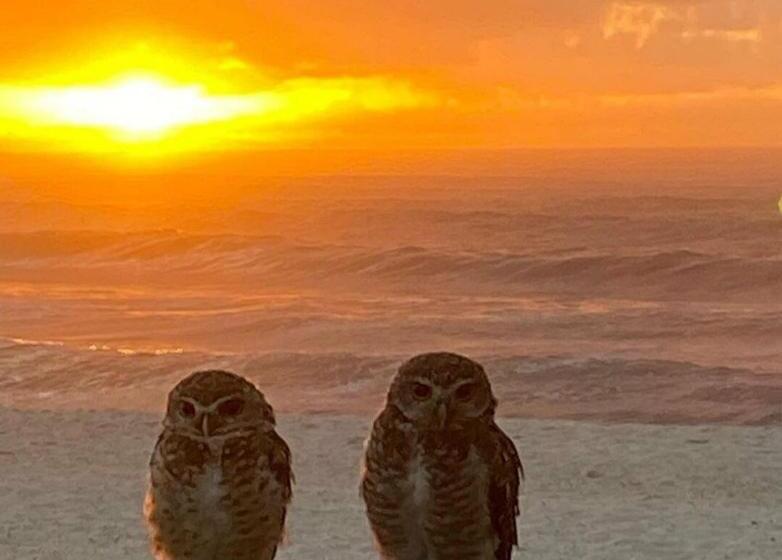 펜션 Pousada Da Drica