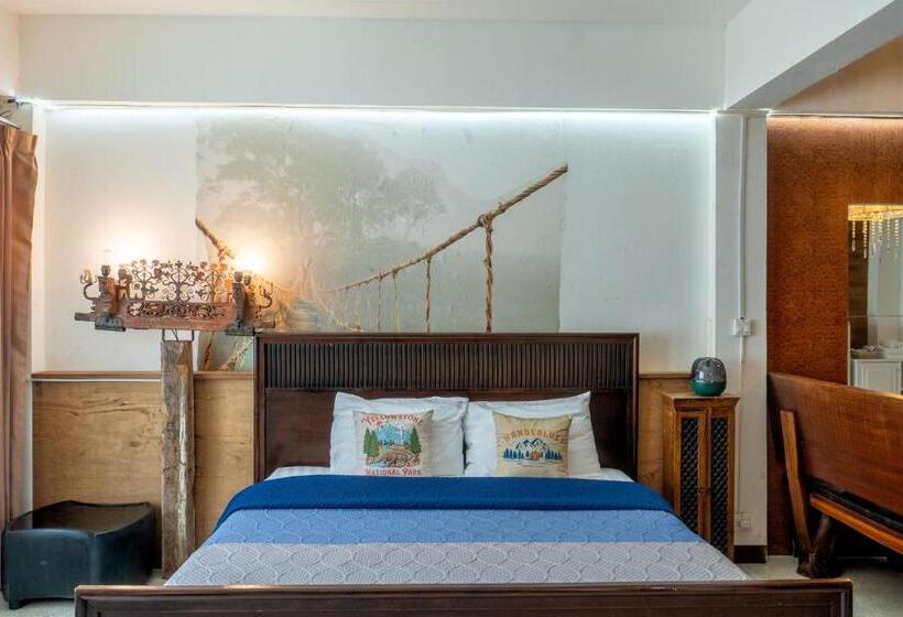 The White Rabbit Hostel