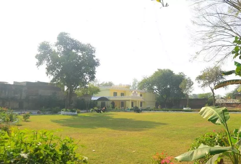 Hotelli Collection O 81374 Priyanka Resort