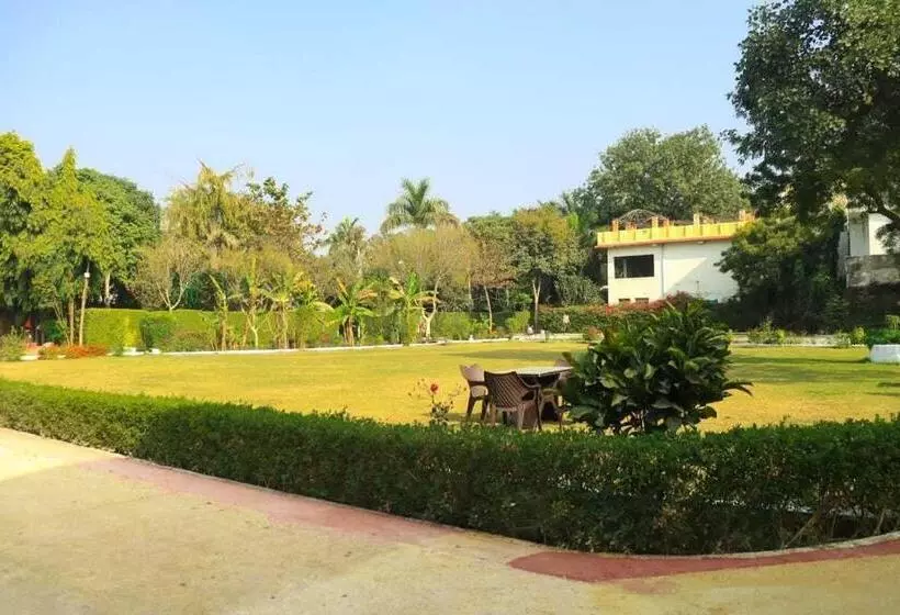 Hotelli Collection O 81374 Priyanka Resort