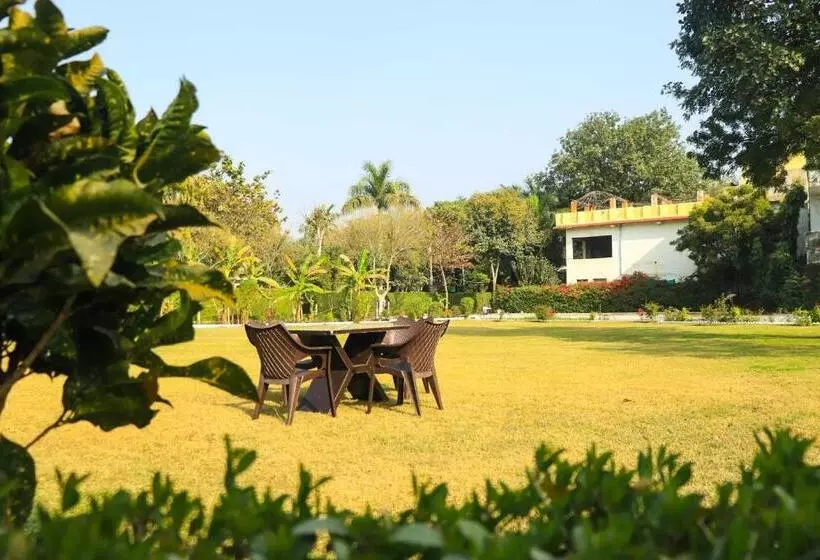 Hotelli Collection O 81374 Priyanka Resort
