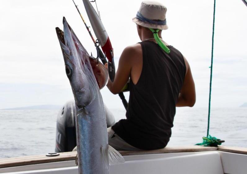 בית מלון כפרי Hostal Sierra Negra By Ohana Tours