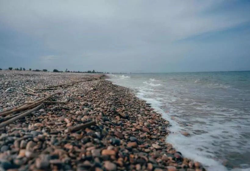 ホテル La Siesta Hostel