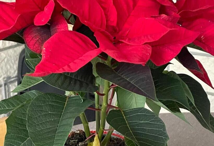 بنسيون Charmante Maison D Hôtes à Ventron   Calme, Randonnées Et Convivialité   Fr 1 589 543