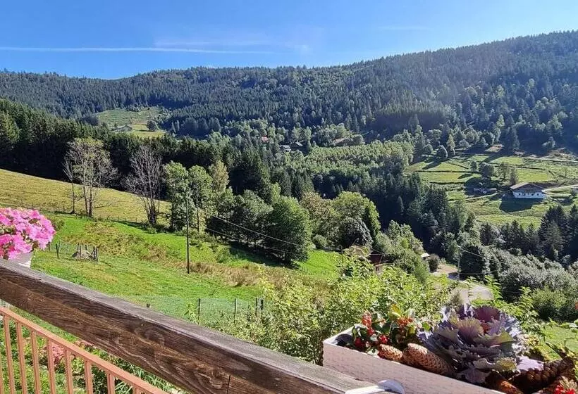 ペンション Charmante Maison D Hôtes à Ventron   Calme, Randonnées Et Convivialité   Fr 1 589 543