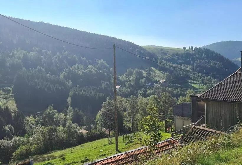 ペンション Maison Montagnarde Chaleureuse Avec Services, Randonnées Et Vue Imprenable à Ventron   Fr 1 589 567