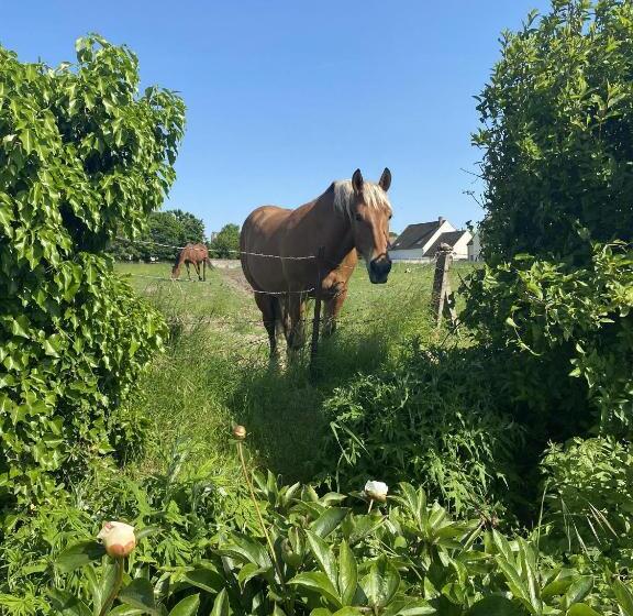 بنسيون Maison Prieuré