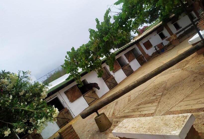Appart Hôtel Cabo Negro M Diq   Piscine