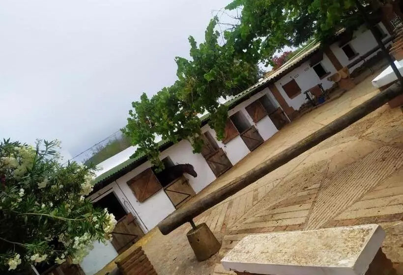 Appart Hôtel Cabo Negro M Diq Piscine