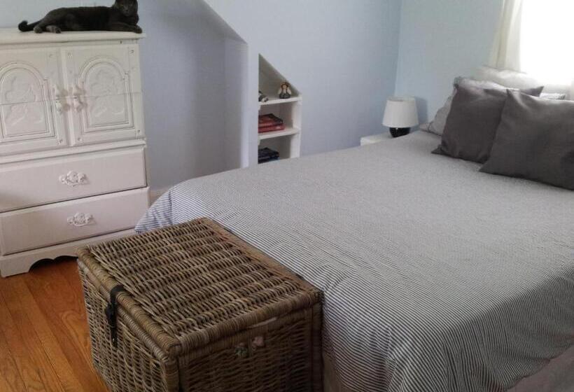 住宿加早餐 European Guesthouse