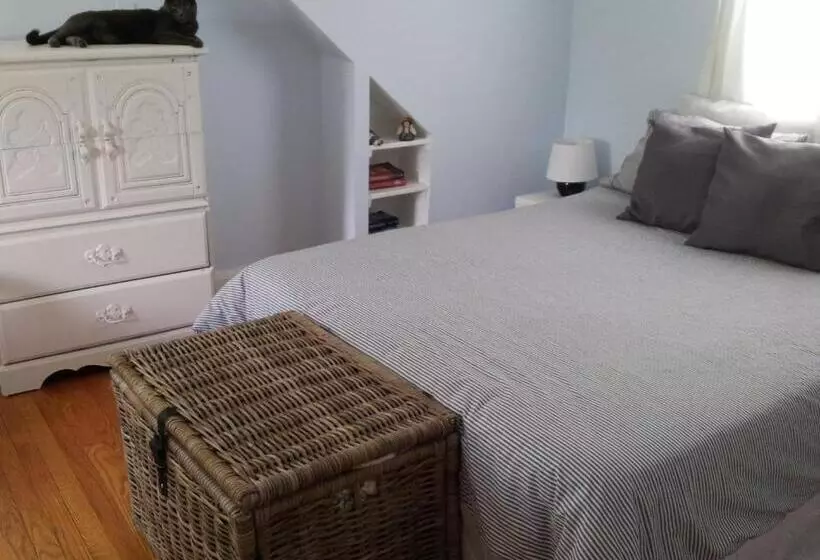 ベッドアンドブレックファースト European Guesthouse