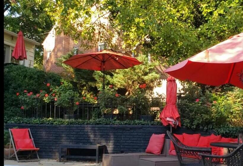 住宿加早餐 European Guesthouse