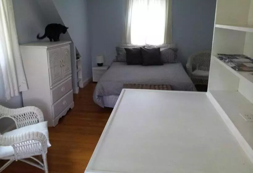 ベッドアンドブレックファースト European Guesthouse