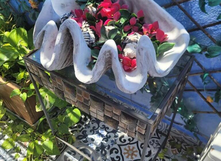 مبيت وإفطار Stanza Mare Luna 180m Ferrys Isla Mujeres