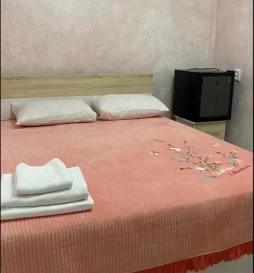 پانسیون гостиничный комплекс «арал»