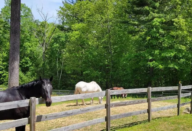 Majatalo The Suite At Liberty Woods