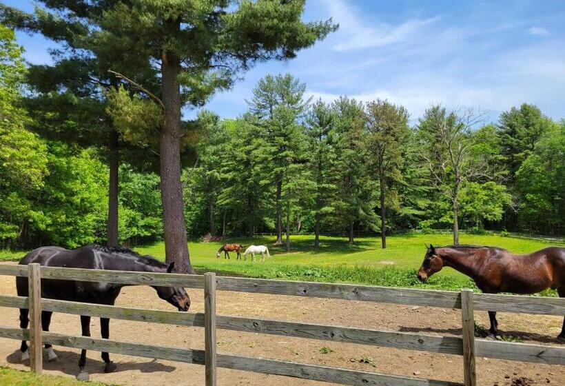 פנסיון The Suite At Liberty Woods