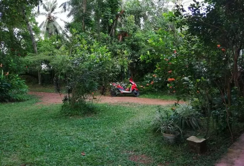 ペンション Udara S Colombo Rooms