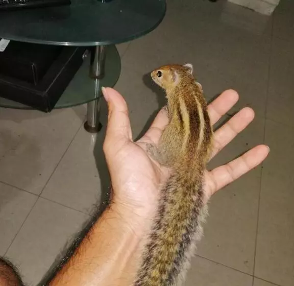 ペンション Udara S Colombo Rooms