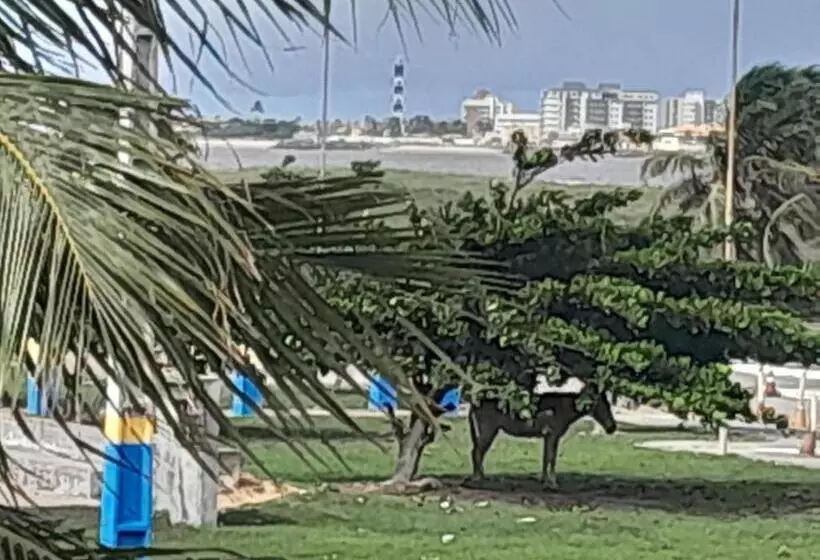 ユースホステル Paraíso Atalaia Beiramar