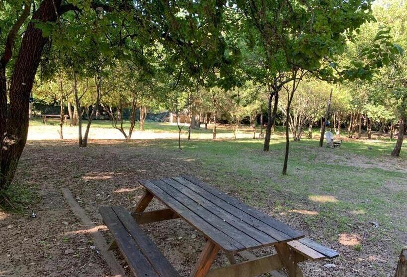 ユースホステル Posada Del Bosque