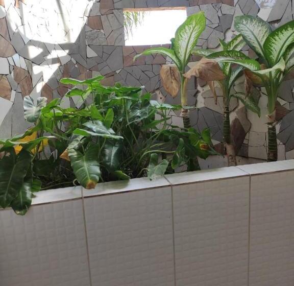 ユースホステル Pousada Vila Matury