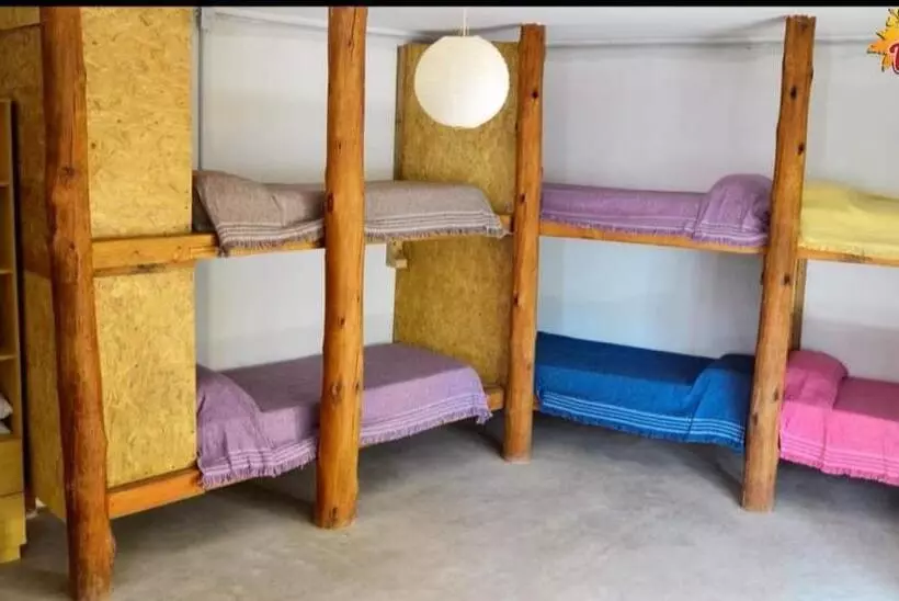 Aloha Hostel