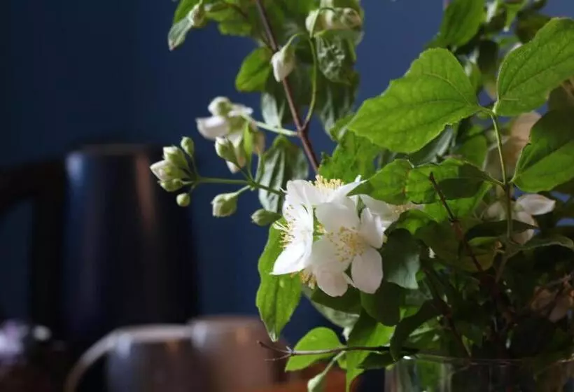 Aamiaismajoitus (B&B) Chez Sophie Et Benoit