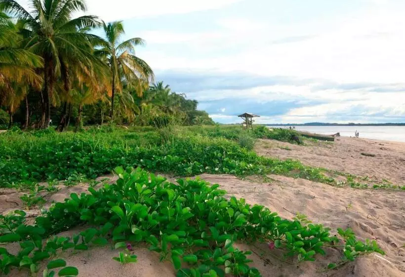 تختخواب و صبحانه Hostel Toucan