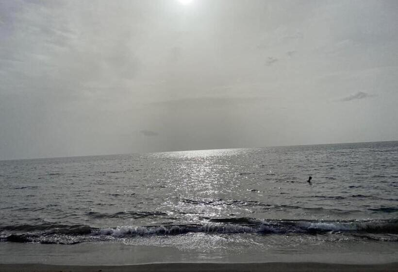 تختخواب و صبحانه Hostel Toucan