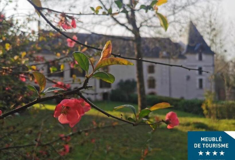 Bed and Breakfast Gite Du Meunier, Moulin De Vineuil, 4ch, 2sdb