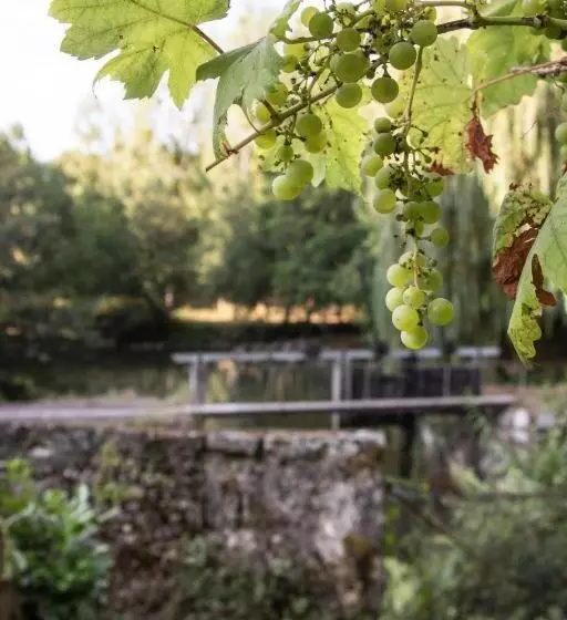 Aamiaismajoitus (B&B) Gite Du Meunier, Moulin De Vineuil, 4ch, 2sdb