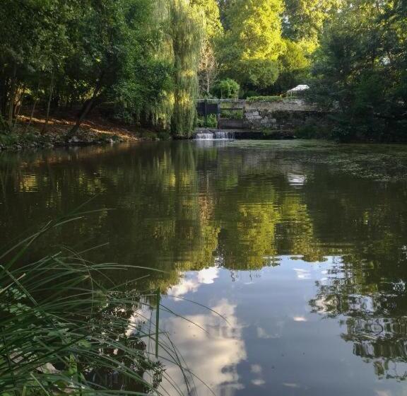 Bed and Breakfast Gite Du Meunier, Moulin De Vineuil, 4ch, 2sdb