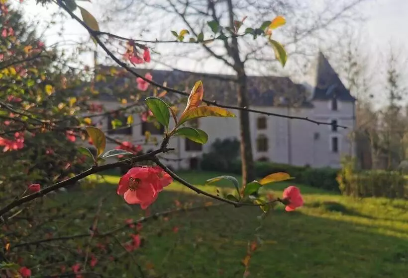 Aamiaismajoitus (B&B) Gite Du Meunier, Moulin De Vineuil, 4ch, 2sdb