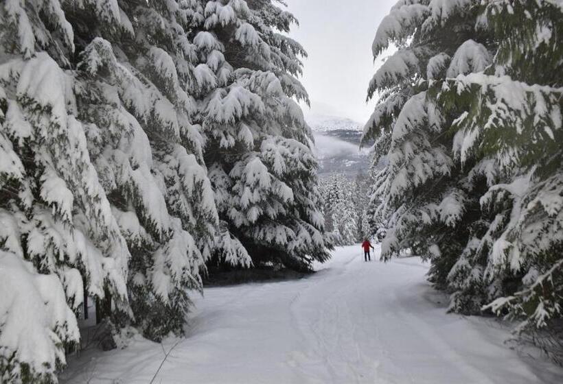 住宿加早餐 Seven Sisters Mountains House