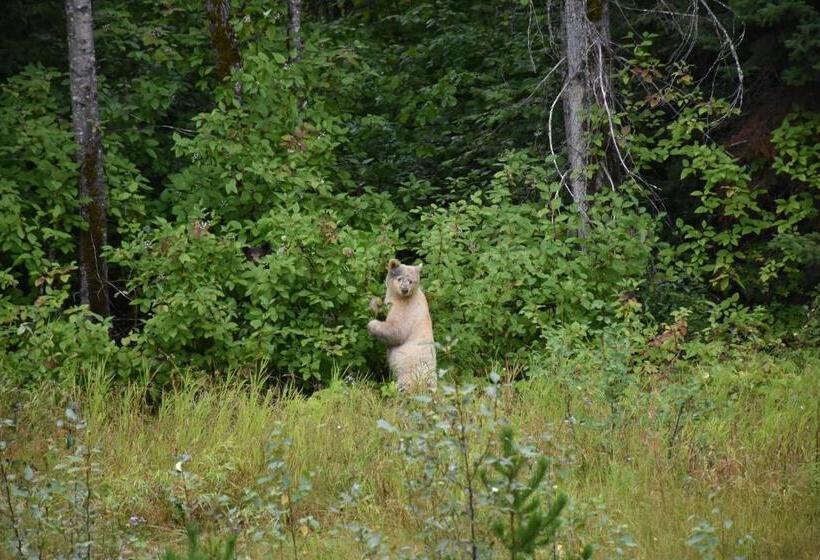 住宿加早餐 Seven Sisters Mountains House
