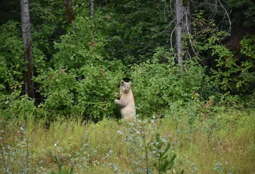 Aamiaismajoitus (B&B) Seven Sisters Mountains House