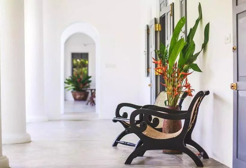 ベッドアンドブレックファースト Villa Sisila   Thalduwa Island Villas