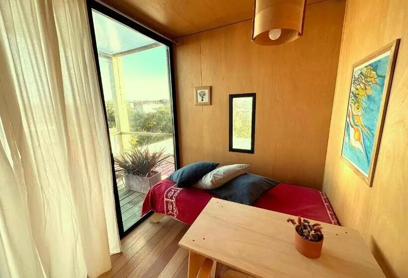 Cabito B & B