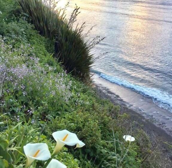 בית מלון כפרי Cabańas De La Ochi