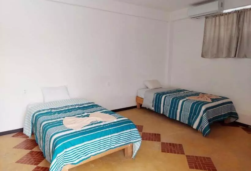 ホテル Puerto Real Suites   Paraiso