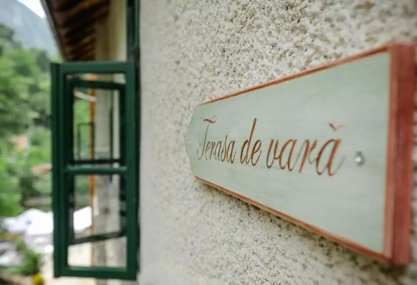 ペンション Casa Dimitrios