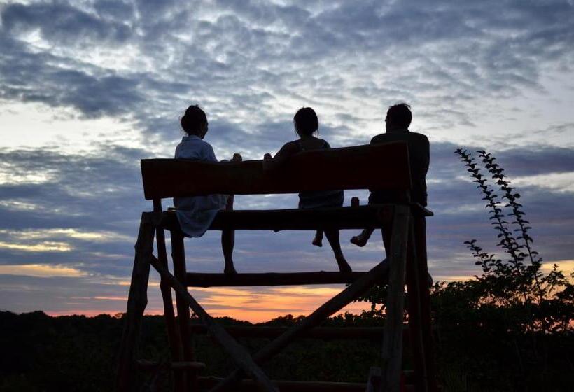 호스텔 Alouatta Playa Coyote