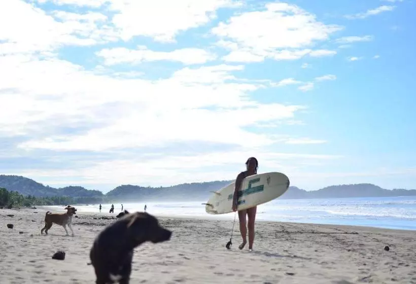 هاستل Alouatta Playa Coyote