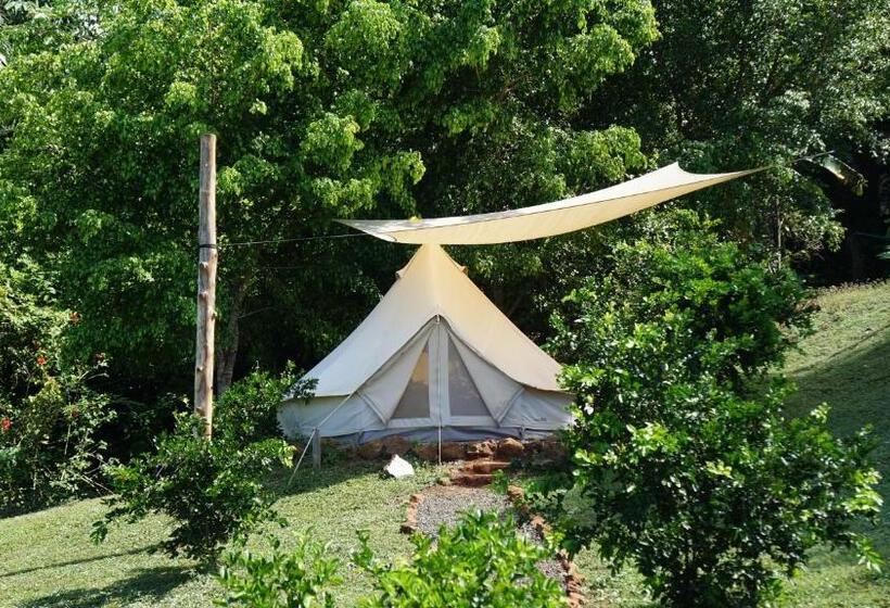 호스텔 Alouatta Playa Coyote