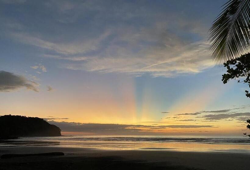 호스텔 Alouatta Playa Coyote