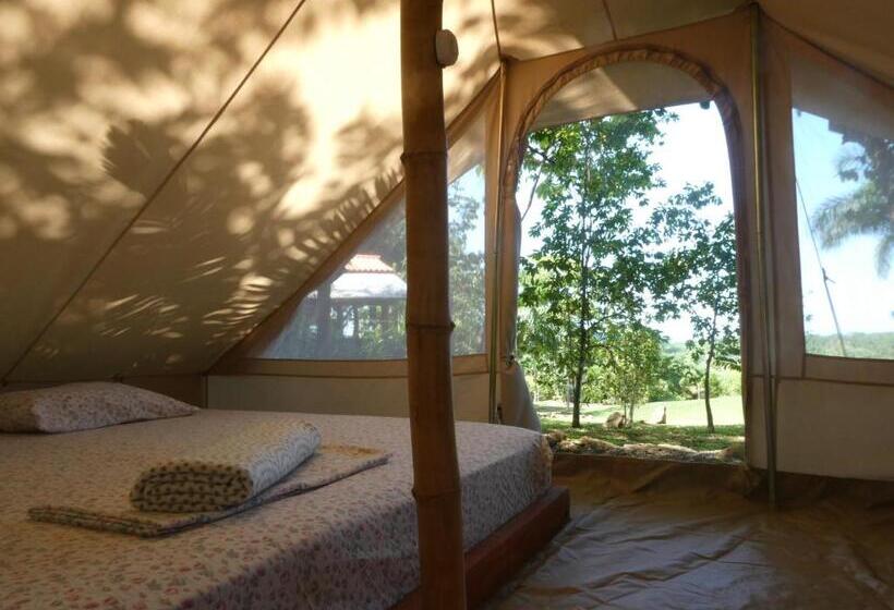 호스텔 Alouatta Playa Coyote