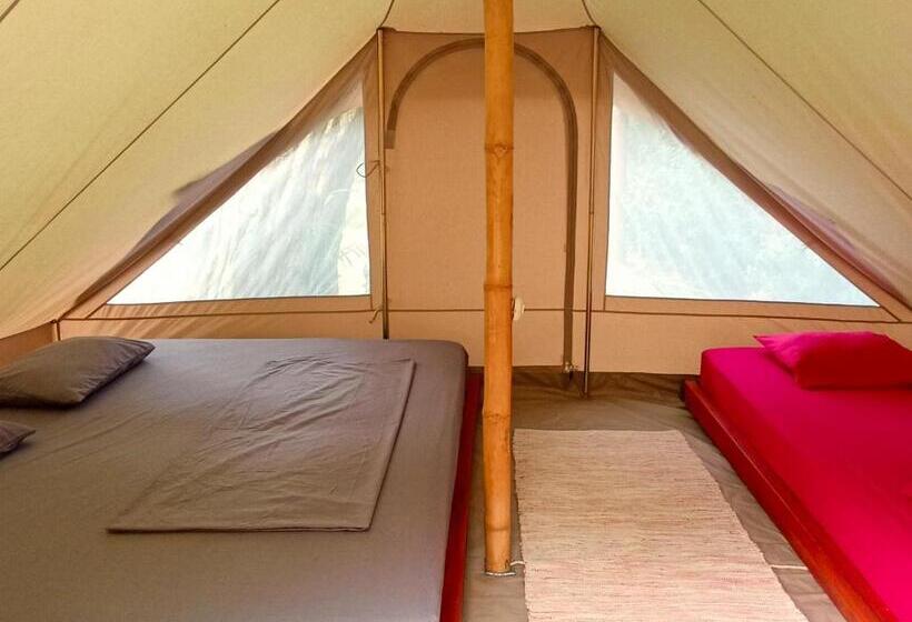 호스텔 Alouatta Playa Coyote